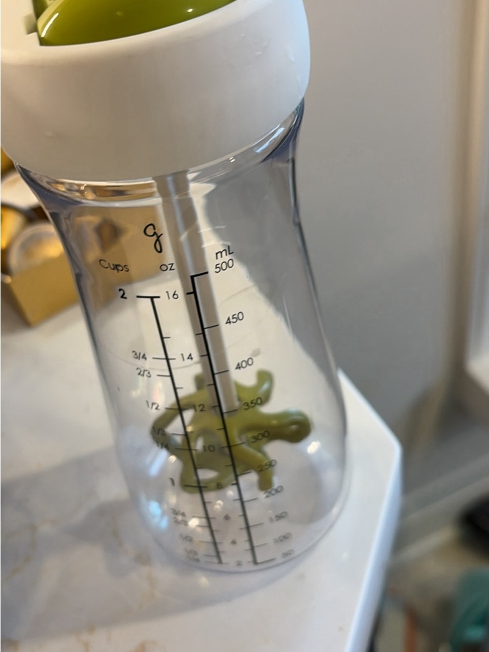 Plastic Reptile Water Bottle with Green Accent